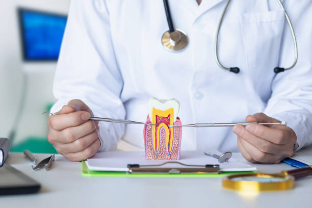 Best Weekend Emergency Dentist in Brookdale, NJ